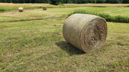 13 Bala sena na Radenskem polju. Foto T. Stepišnik